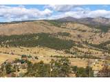 981 Palisade Mountain Dr - Photo 6