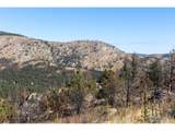 981 Palisade Mountain Dr - Photo 8