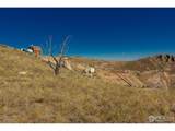 45 Bull Rock Ct - Photo 27