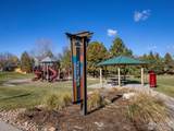 1531 Spring Creek Xing - Photo 8
