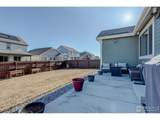 16772 Chilton Dr - Photo 29