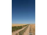 1 Vacant Land Penrith - Photo 12