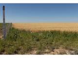 1 Vacant Land Penrith - Photo 15