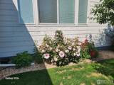 1410 Sunfield Dr - Photo 36