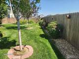 1410 Sunfield Dr - Photo 43