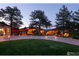 1530 Timber Ln - Photo 45