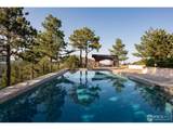 1530 Timber Ln - Photo 6