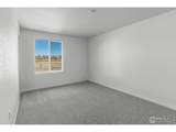 3146 Tourmaline Pl - Photo 34