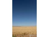 1 Lots 1-6 Vacant Land Penrith - Photo 19