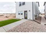 937 Trumpet Ln - Photo 33