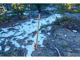 71 Pinecliff Trl - Photo 7