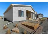 2033 Morningstar Way - Photo 34