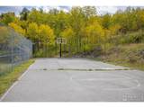 798 Dory Lakes Dr - Photo 49