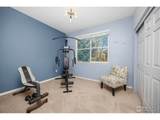 2067 Grays Peak Dr - Photo 15