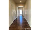 726 Callisto Dr - Photo 6