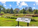 525 Pearl St - Photo 45