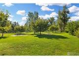 525 Pearl St - Photo 46
