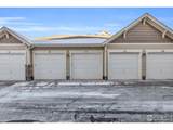 4612 Hahns Peak Dr - Photo 28