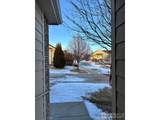 4902 29th St - Photo 36