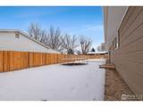 501 Clifford St - Photo 38