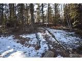 972 Quarter Horse Rd - Photo 30