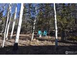 972 Quarter Horse Rd - Photo 33
