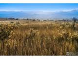 7929 County Road 84 - Photo 3