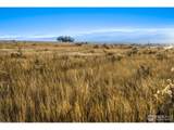 7929 County Road 84 - Photo 5