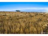 7895 County Road 84 - Photo 1