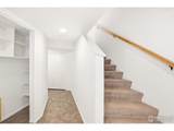 1550 Bluebell Ave - Photo 4