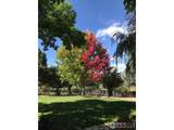 4963 Kelso Rd - Photo 38