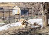 4963 Kelso Rd - Photo 42