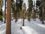 0 Long Trail Rd - Photo 5