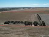  Highway 79 - Photo 1