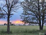  Highway 79 - Photo 2