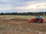  Highway 79 - Photo 4