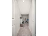 3725 Catmint St - Photo 10