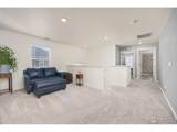 3725 Catmint St - Photo 21