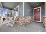 3725 Catmint St - Photo 3