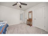 3725 Catmint St - Photo 31