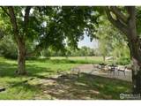 6903 Valmont Rd - Photo 19