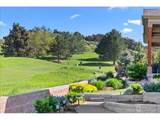 4692 Mariana Hills Cir - Photo 20