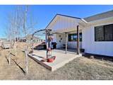 6881 Cattails Dr - Photo 43