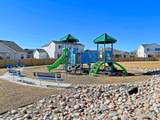 6881 Cattails Dr - Photo 48