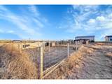 41219 County Road 84 - Photo 32