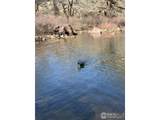 0 Longmont Dam Rd - Photo 6