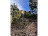 0 Longmont Dam Rd - Photo 7