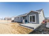 7157 Rye Grass Dr - Photo 24