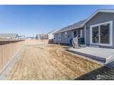 7157 Rye Grass Dr - Photo 25