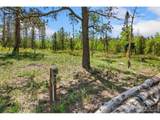 5481 County Road 73C - Photo 21
